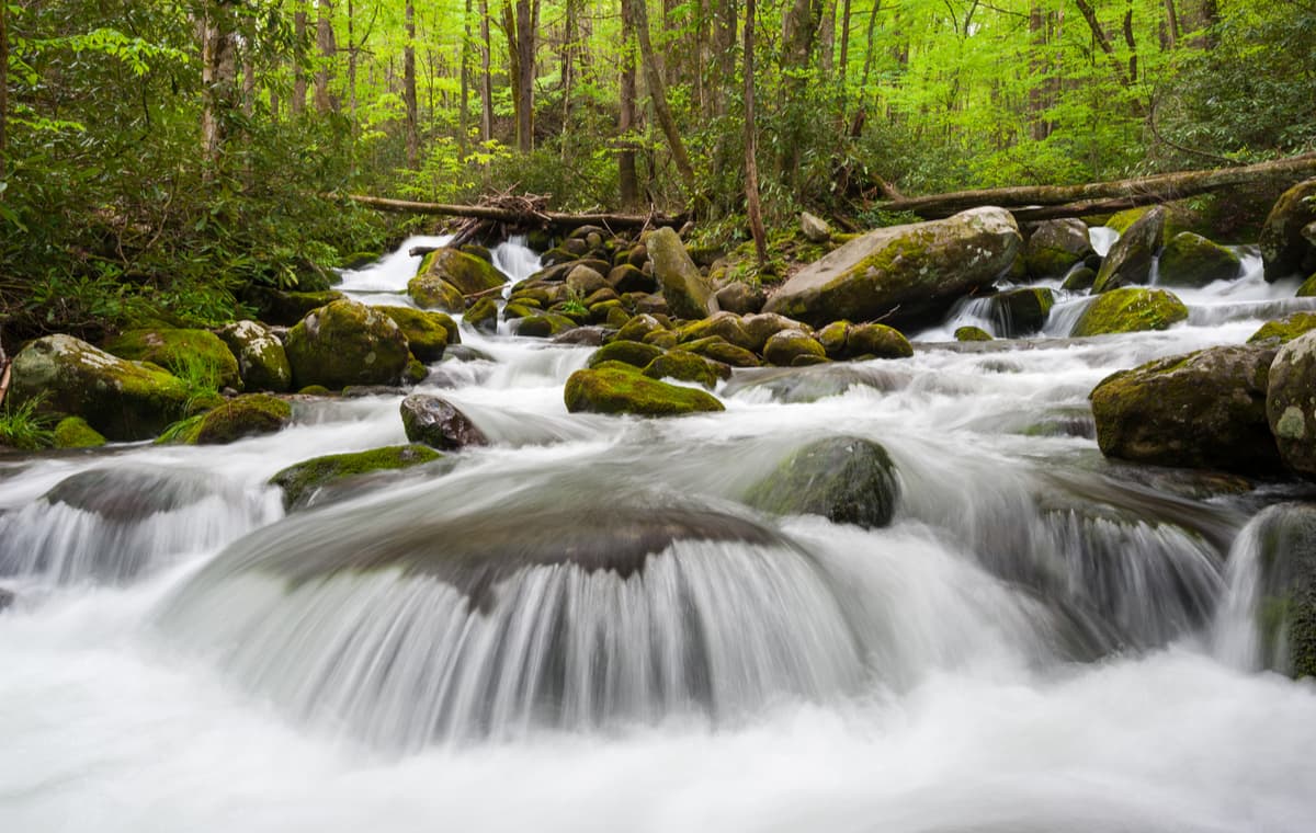 Roaring Fork. Great Smoky Mountains