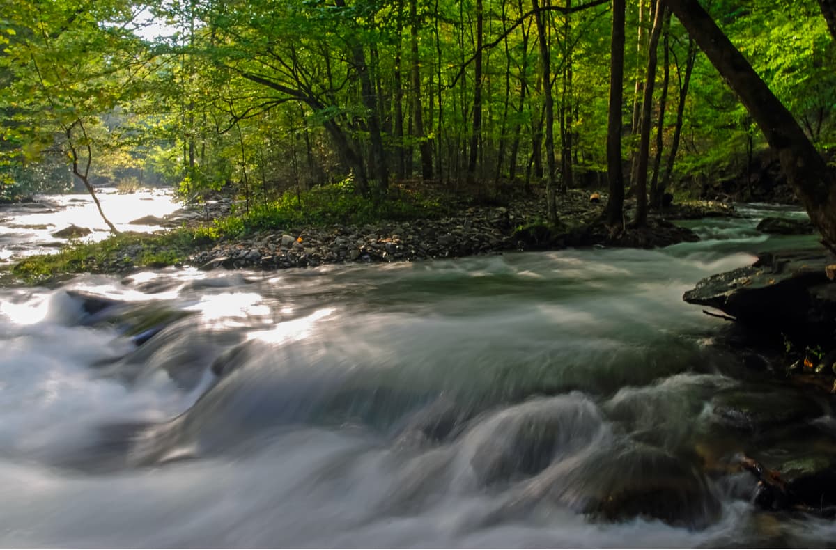 Water Rapids in Great Smoky Mountains National Park