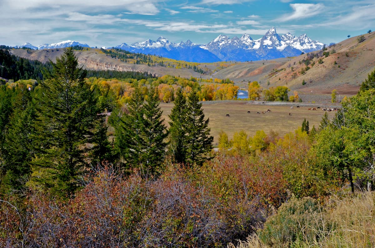 The Grand Tetons seen from the Gros Ventre Valley in autumn