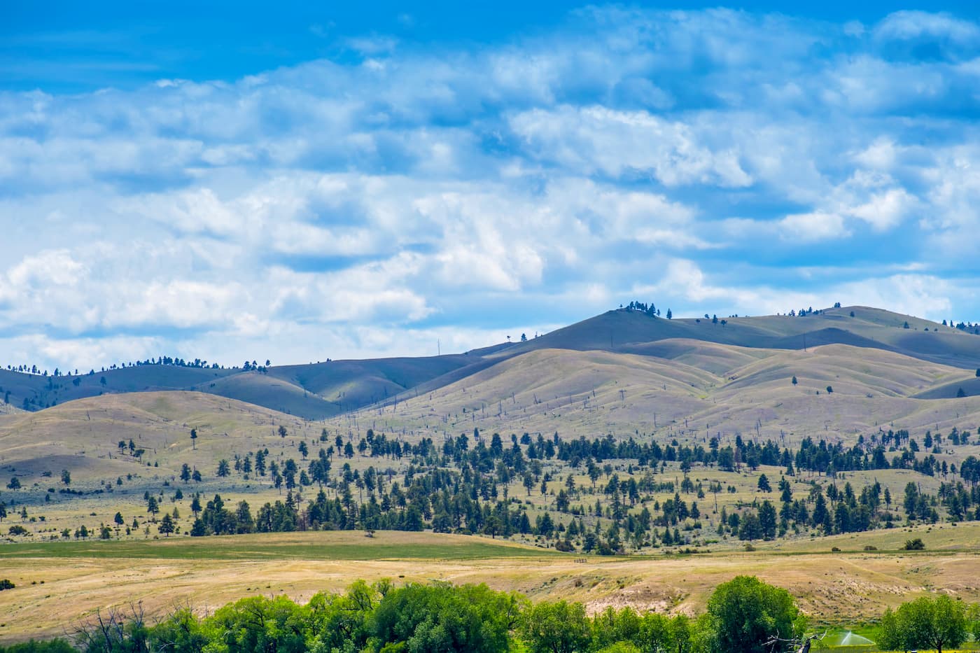 Gates of the Mountain Wilderness
