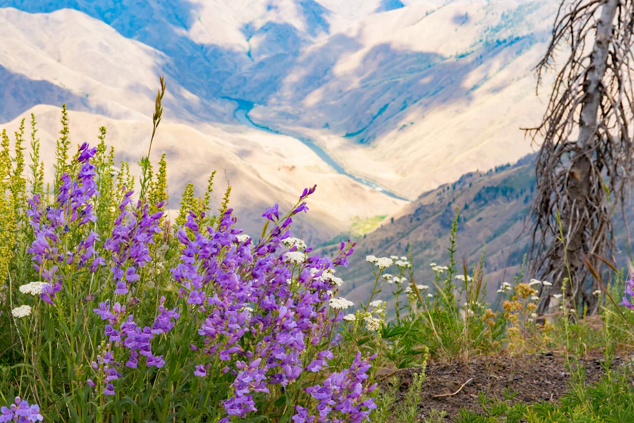 SHat Point. Hells Canyon National Recreation Area