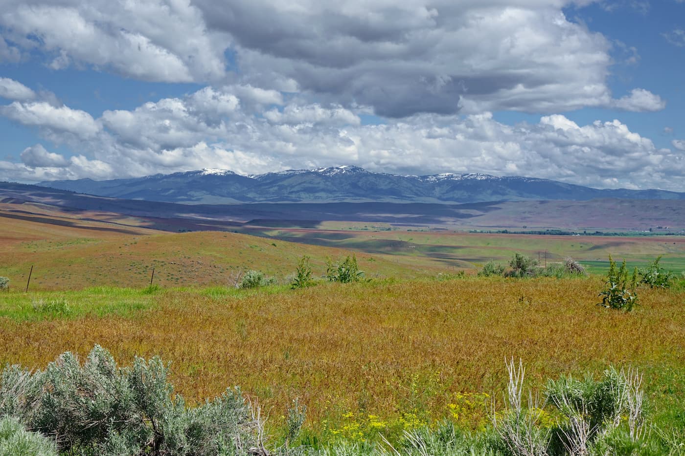 Cuddy Mountain, Hells Canyon Wilderness