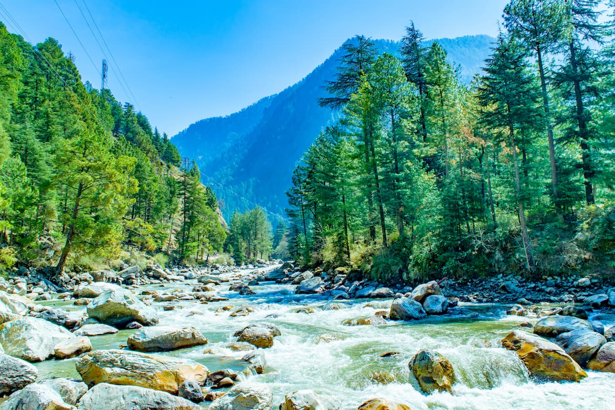 Forests, Himachal Pradesh, Himalaya
