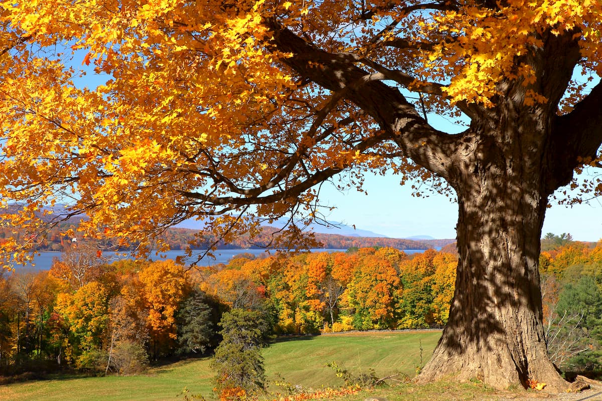 Hudson Highlands State Park