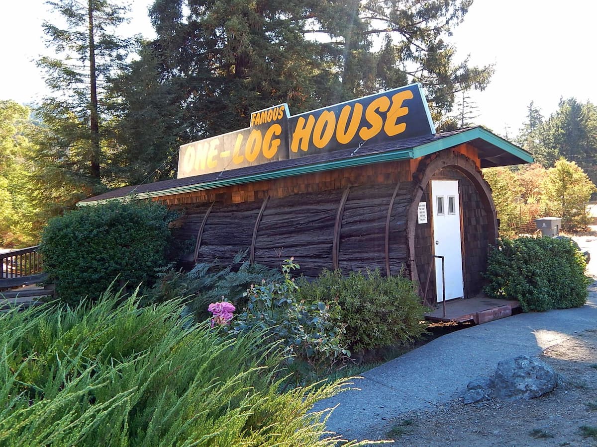 Humboldt Redwoods State Park. Garberville