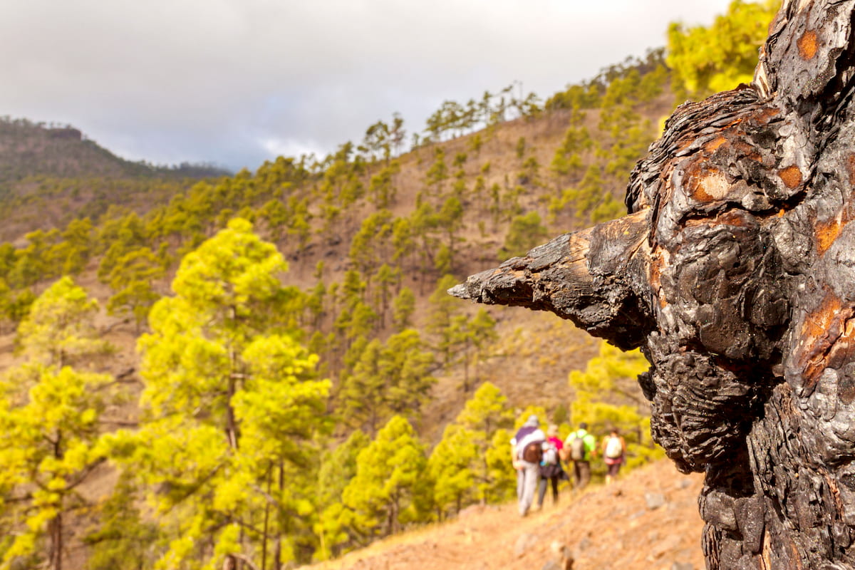 Hiking Inagua Natural Reserve