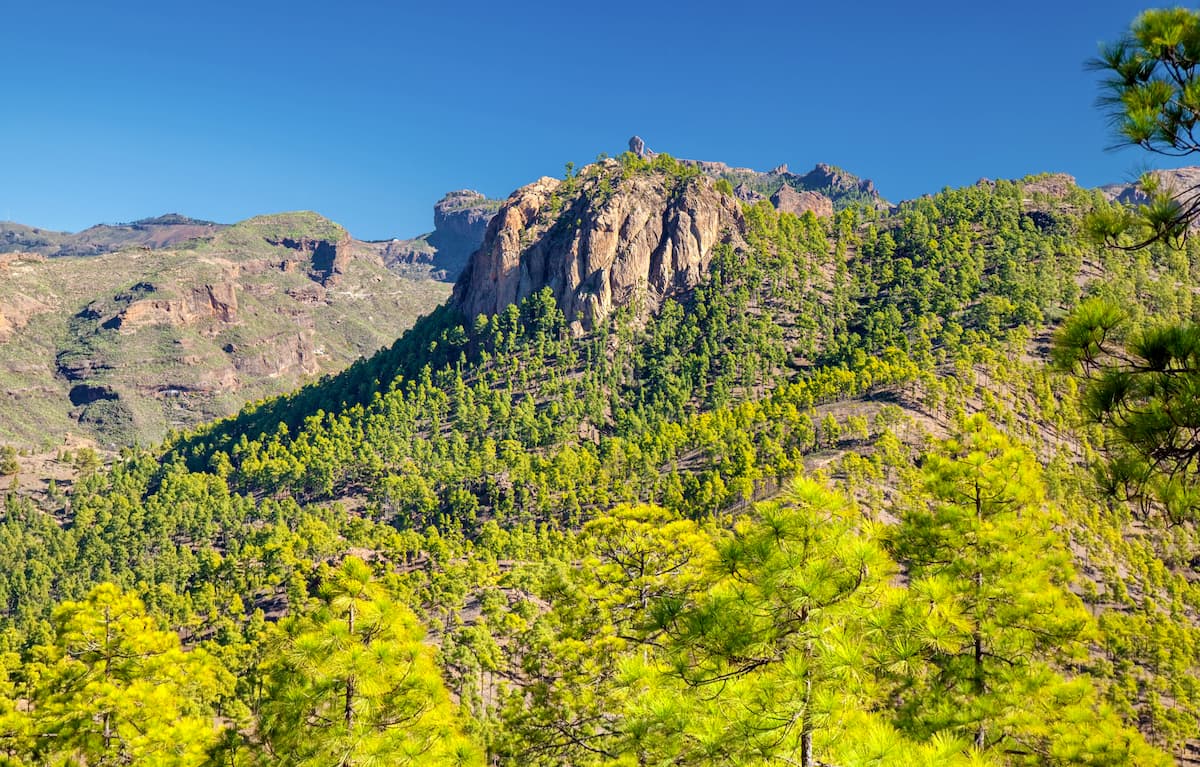 Hiking path in Inagua Natural Reserve