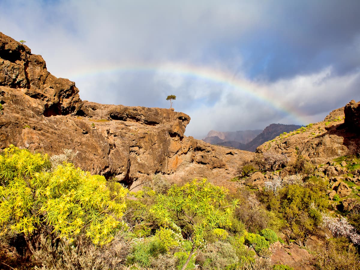 Rainbow in Inagua Natural Reserve