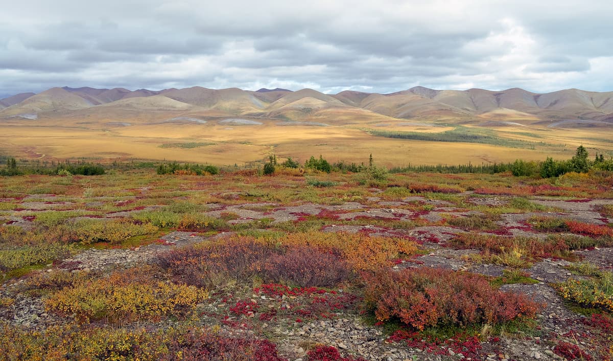 Mackenzie Mountains