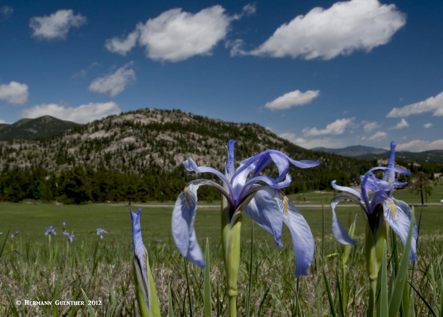 Jefferson County Open Space, Jefferson County