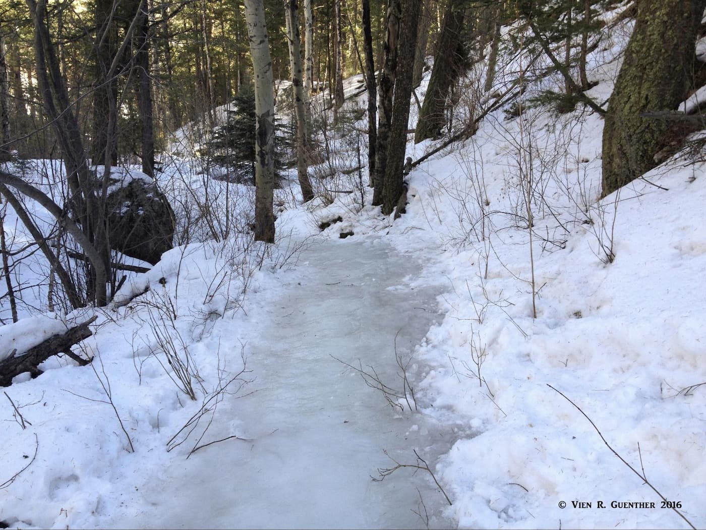 Ice-covered Oxen Draw Trail, Jefferson County