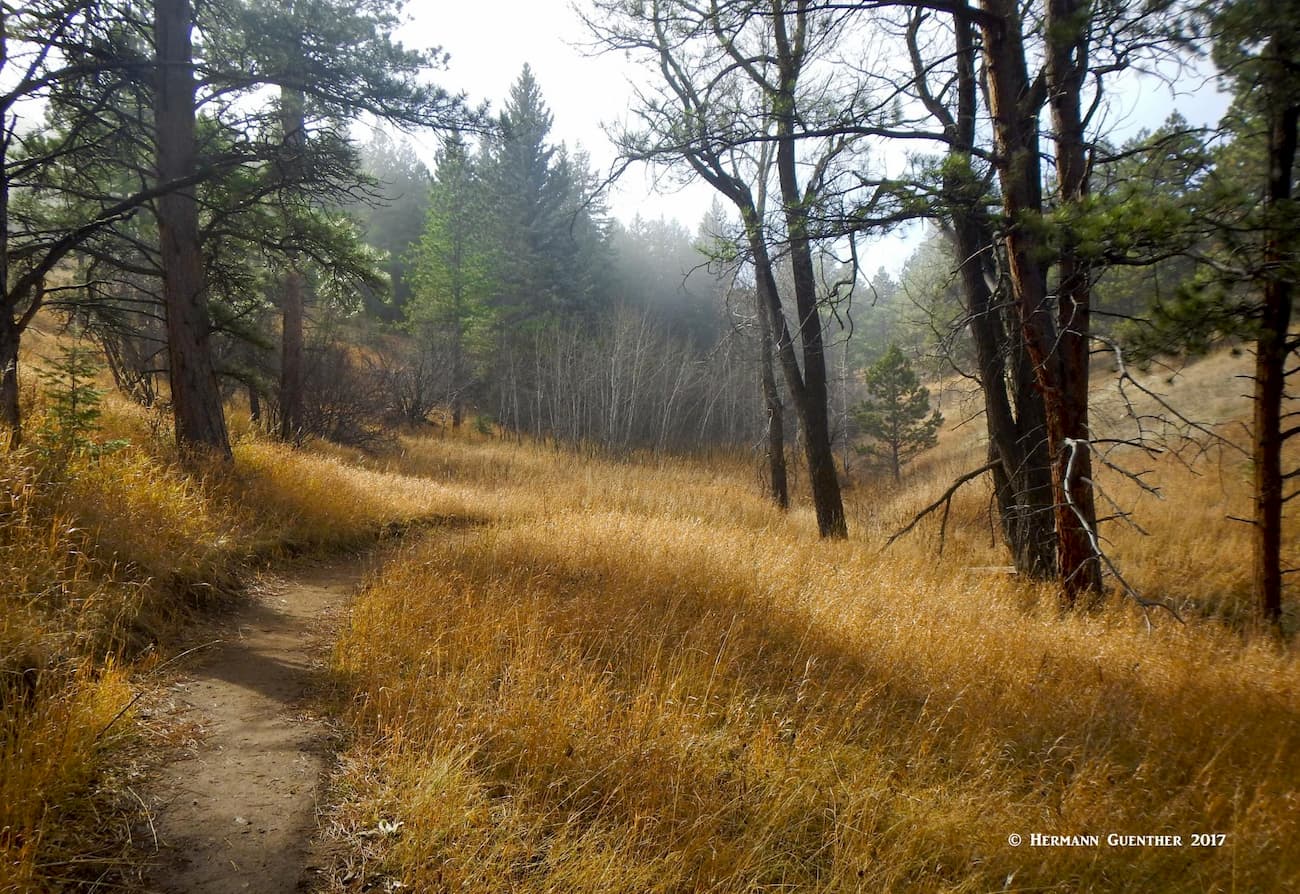 Late Autumn Trail, White Ranch Park
