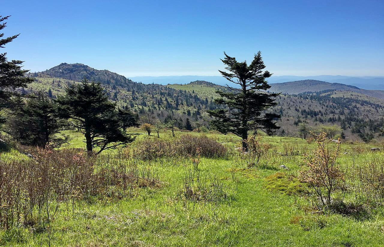 Appalachian Trail. Jefferson National Forest
