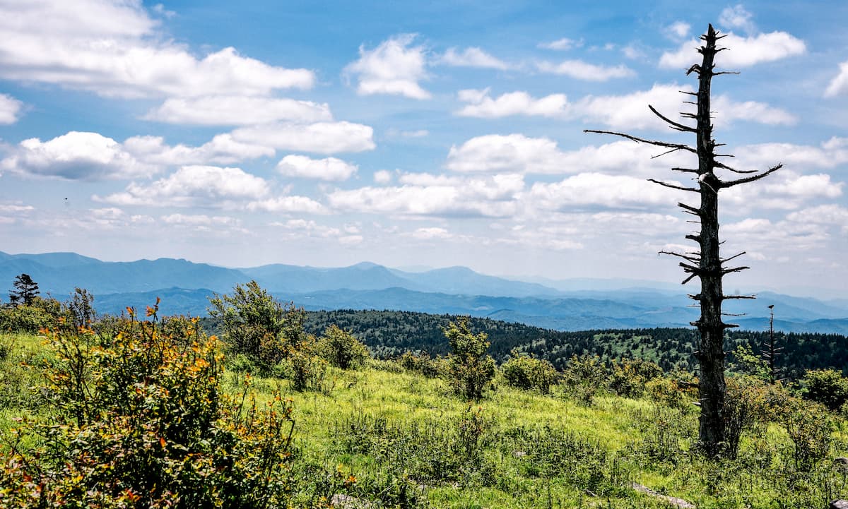 Jefferson National Forest