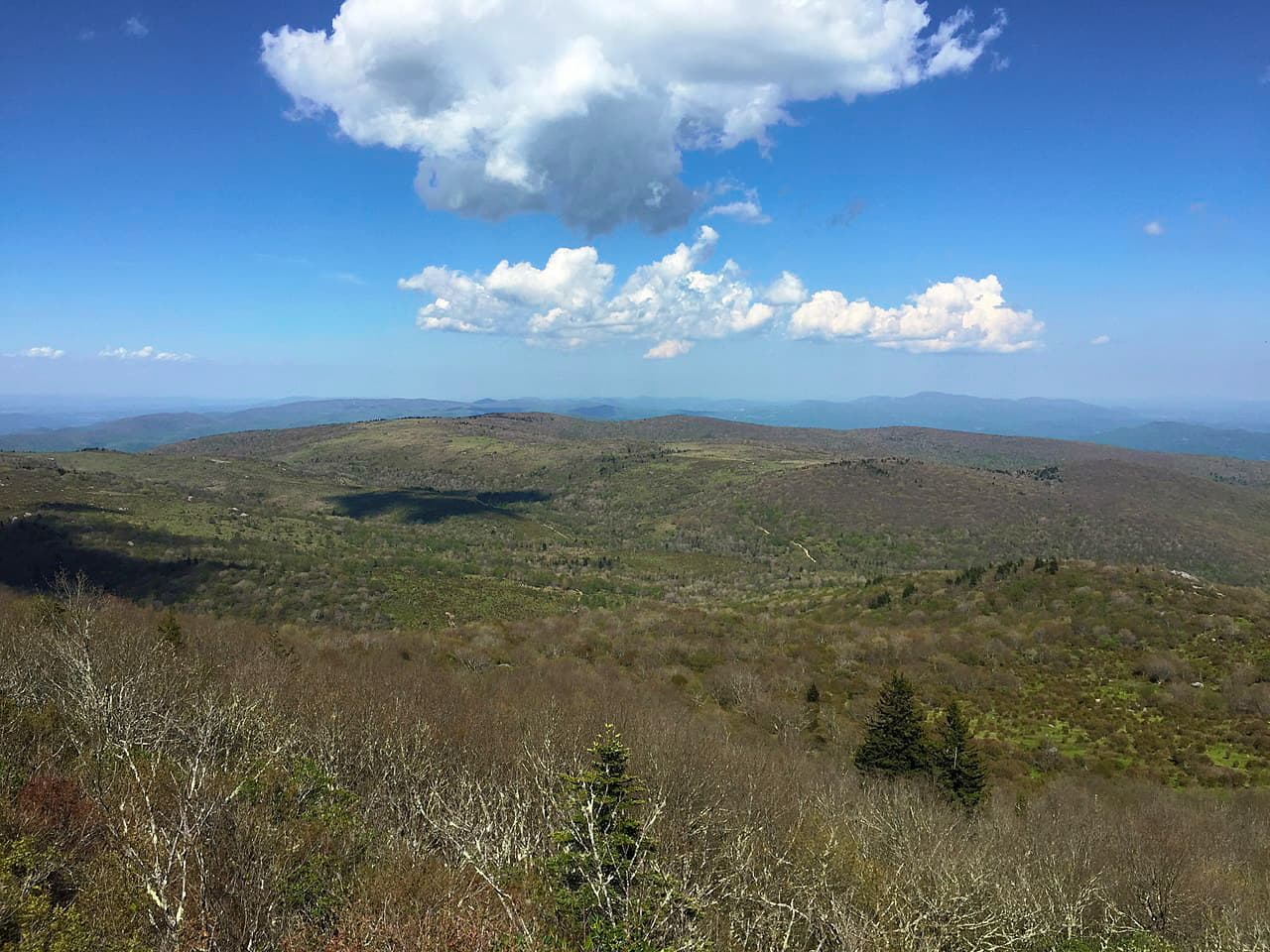 Mount Rogers. Jefferson National Forest