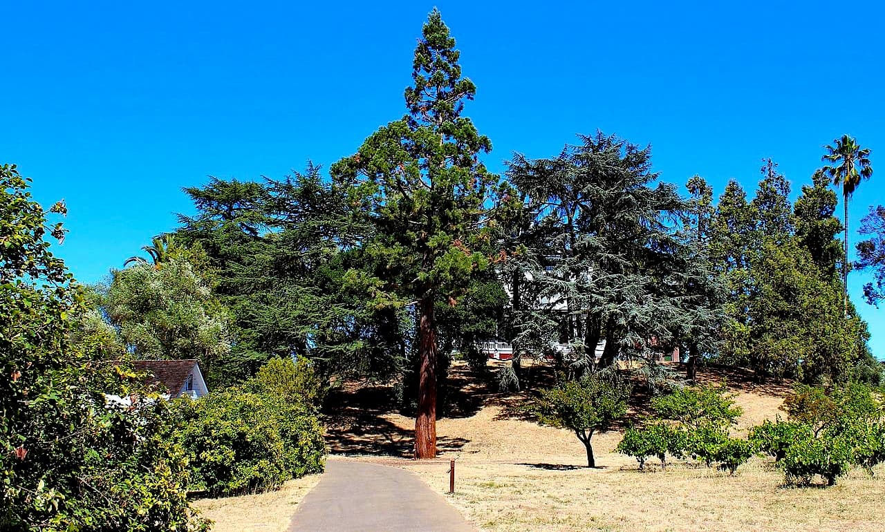 John Muir National Historic Site