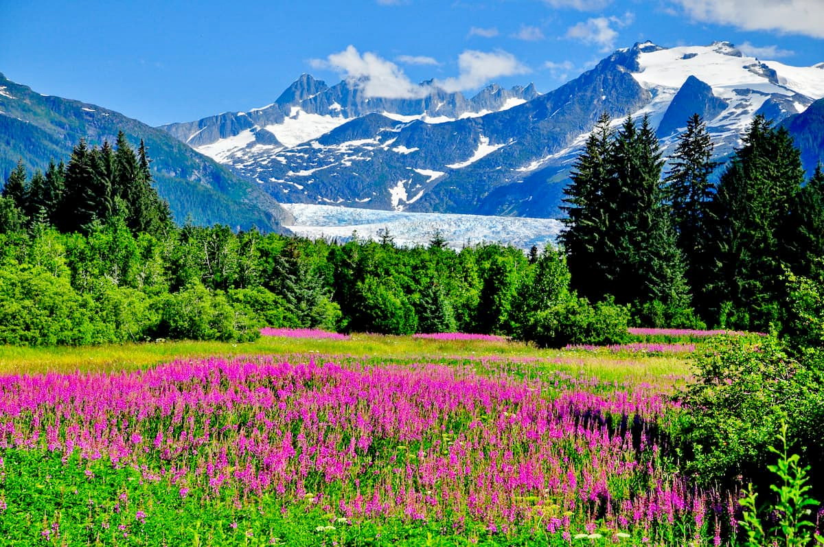 Mendenhall Glacier. East Glacier Loop