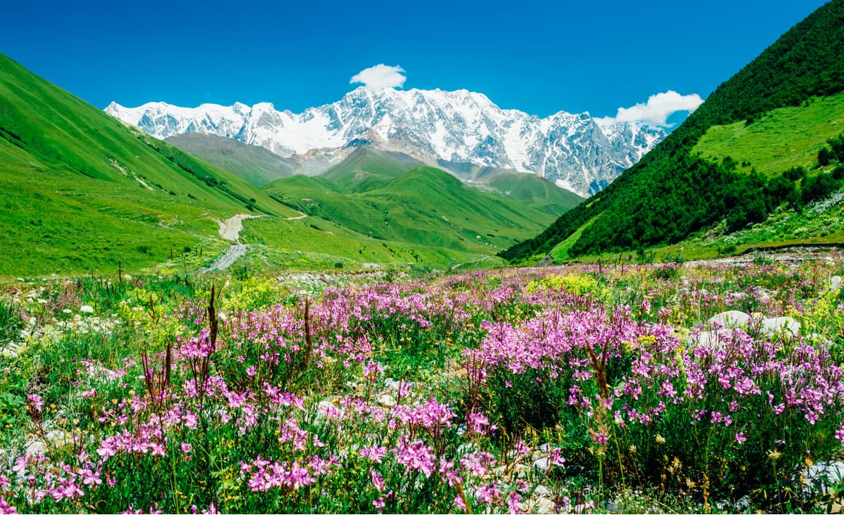 The green world of the Kabardino-Balkarian Highland State Reserve