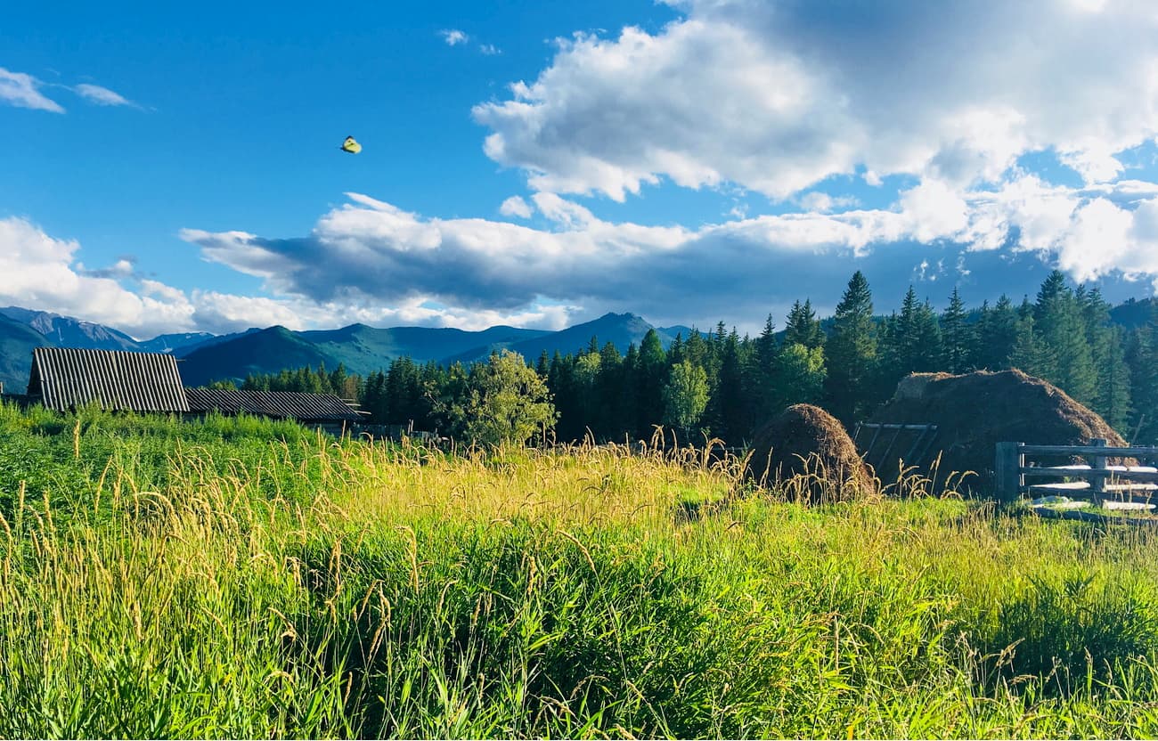 Katanda. Katun State Natural Biosphere Reserve