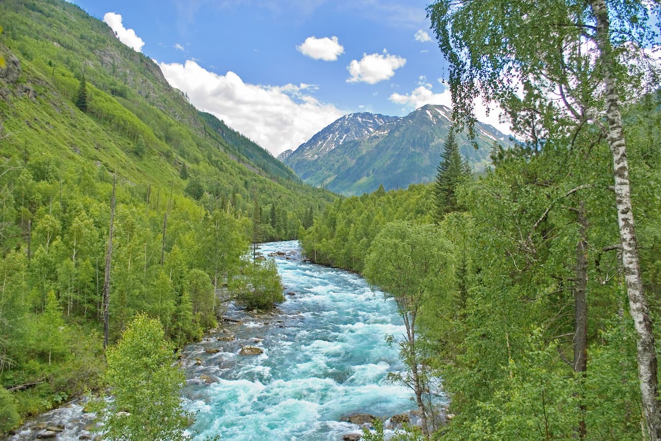 Yoldo river. Katun State Natural Biosphere Reserve