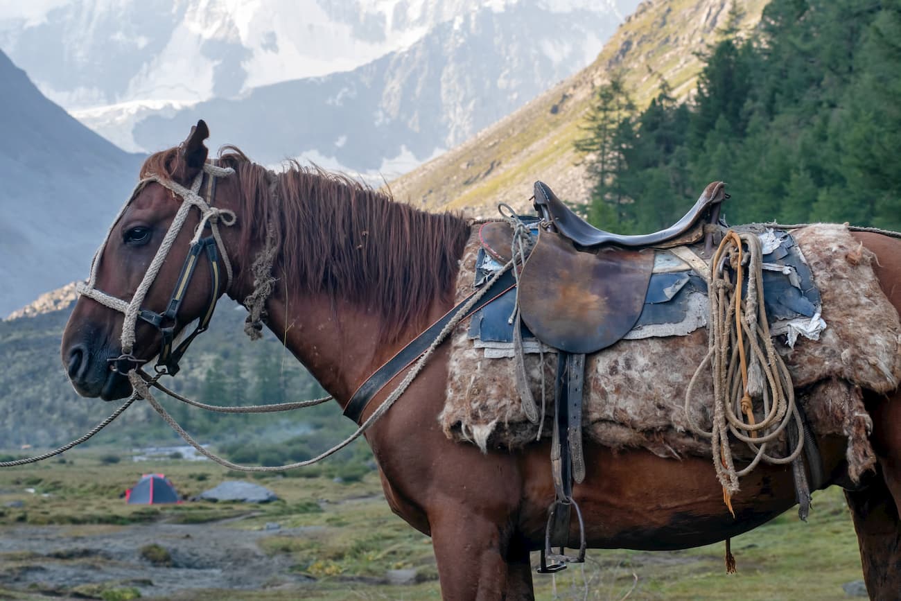 The Kuragan Ring route. Katun State Natural Biosphere Reserve