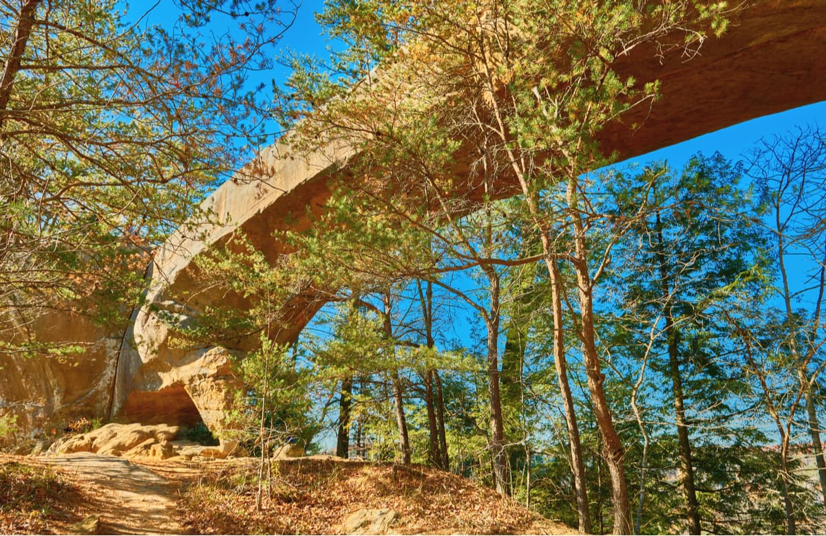 Sky Bridge Arch. Daniel Boone National Forest