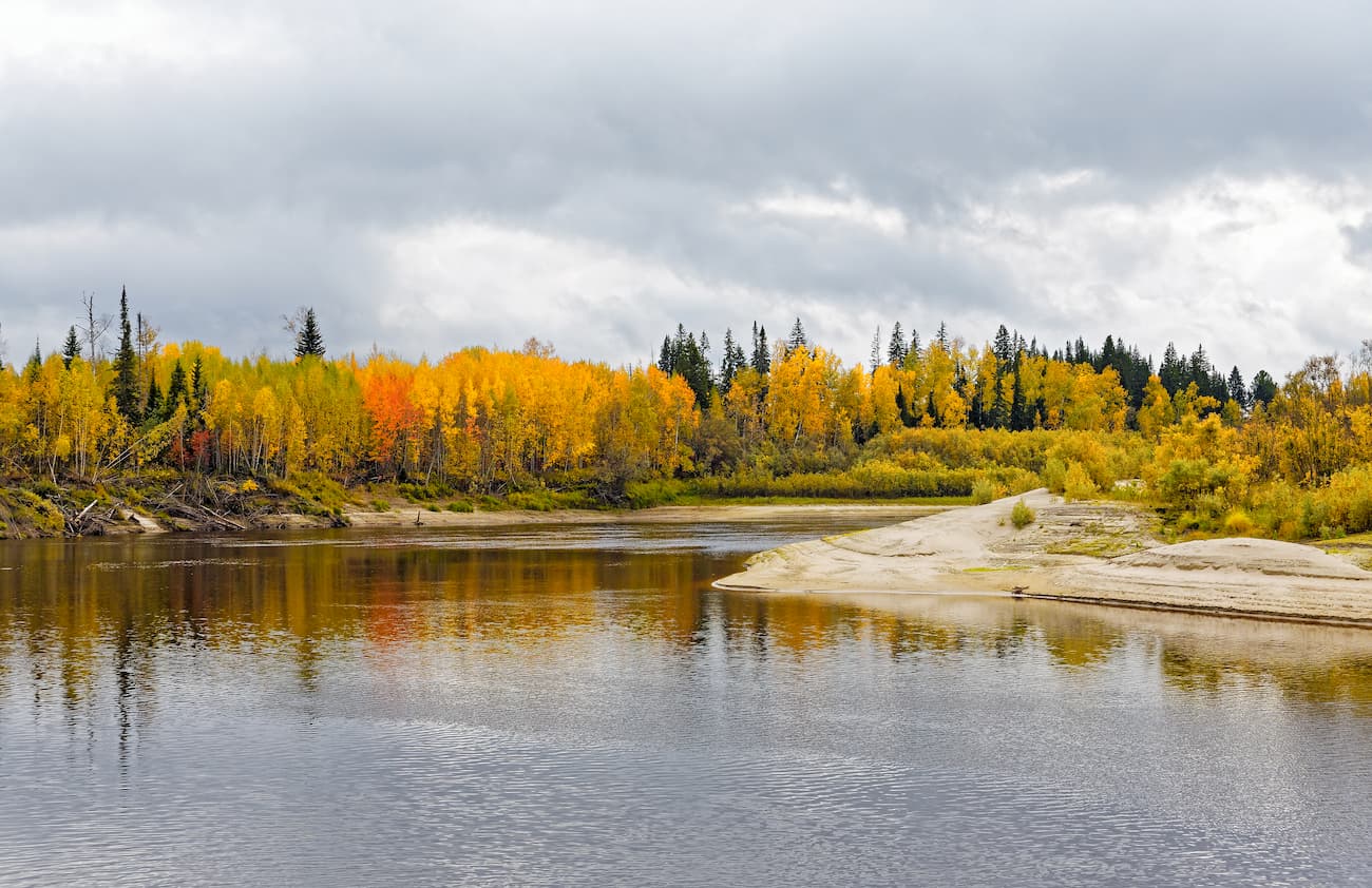 Khanty-Mansiysk Autonomous Area. Yugan Nature Reserve