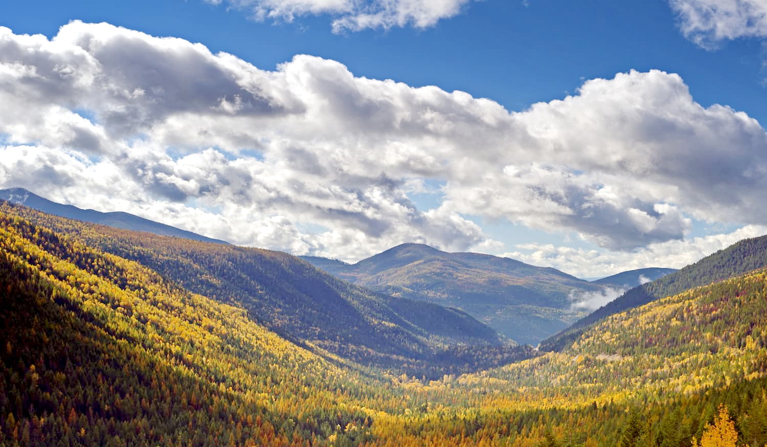 Smallwood and Bigwood Loop