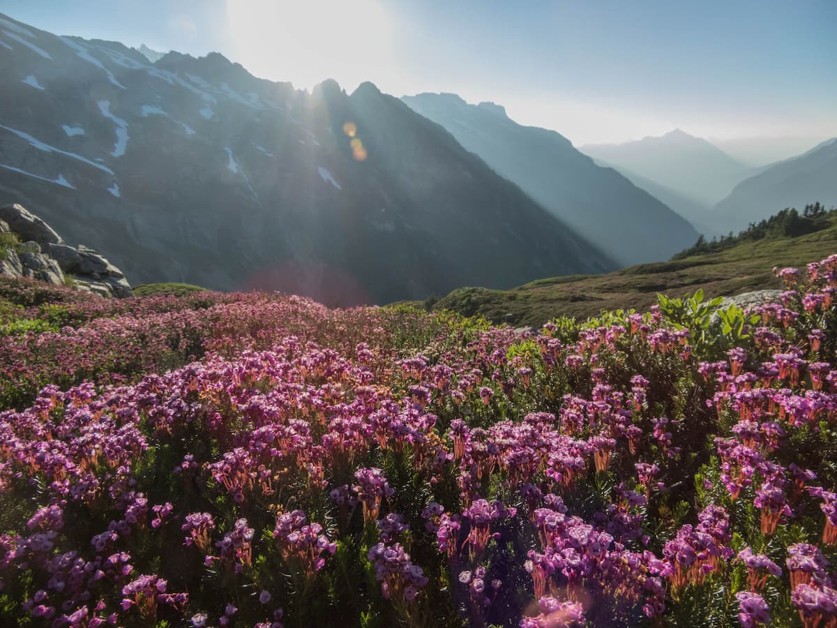 Stehekin valley. Lake Chelan National Recreation Area