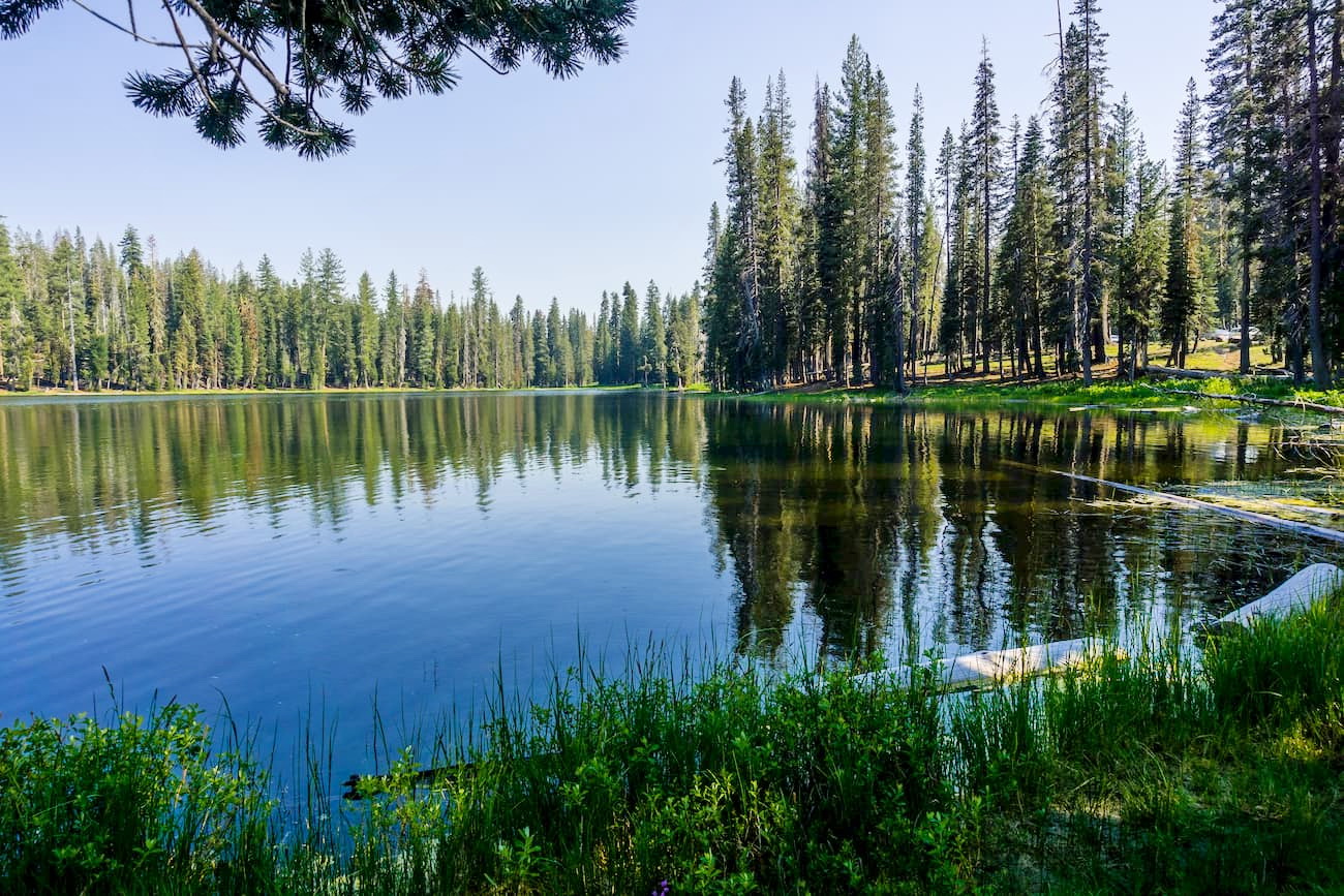 Lassen National Forest