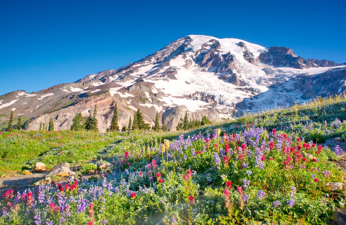 Mount Rainier National Park