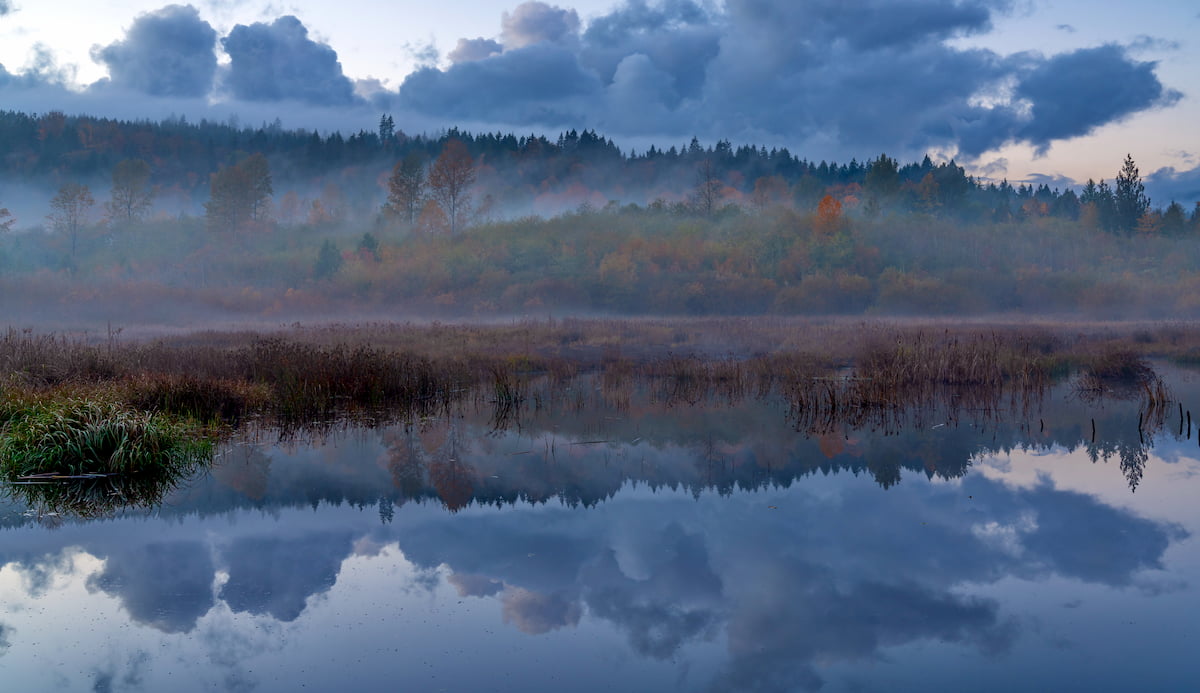 Beaver Ponds, Little Pend Oreille National Wildlife Refuge