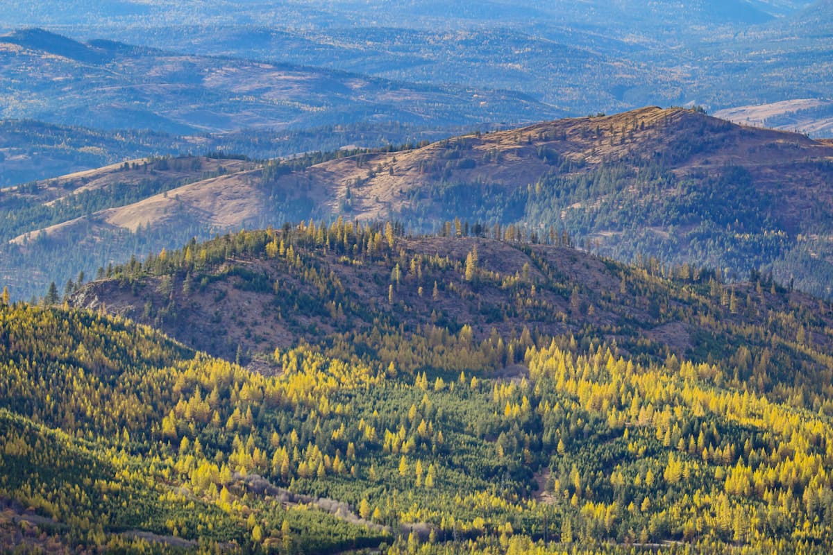 Rolling hills, Little Pend Oreille National Wildlife Refuge