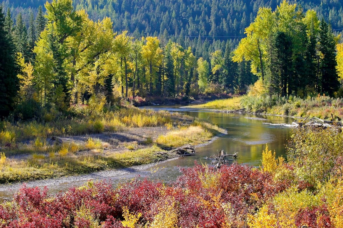 Lolo National Forest