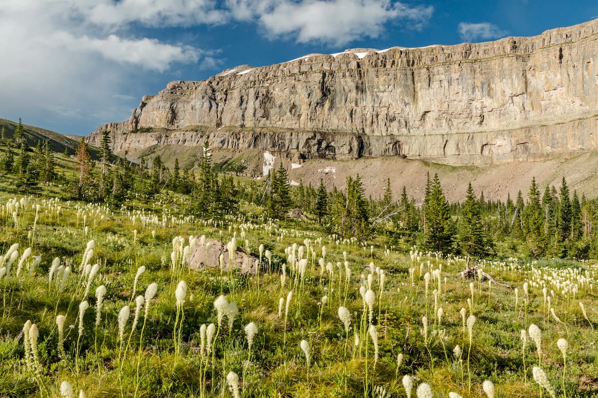 Scapegoat Wilderness. Lolo National Forest