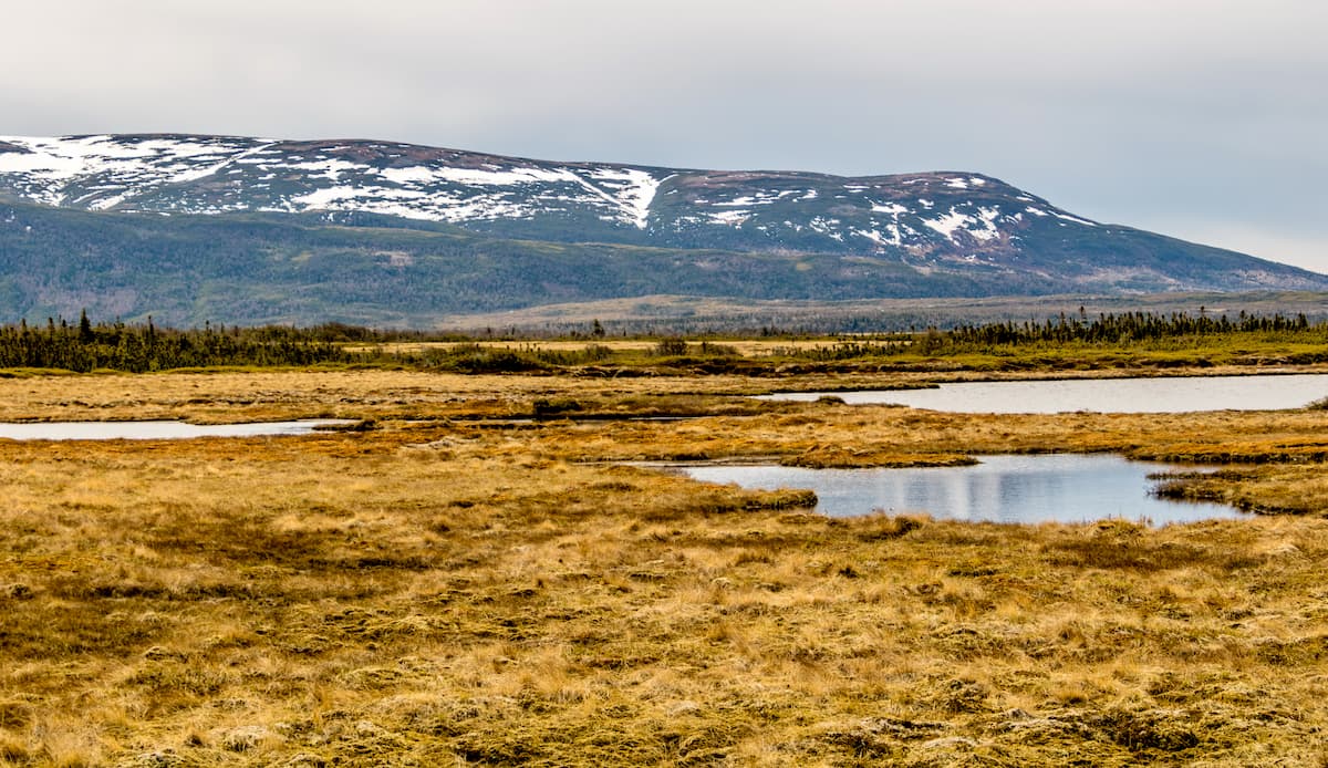 Long Range Mountains. Long Range Mountains Ecoregion