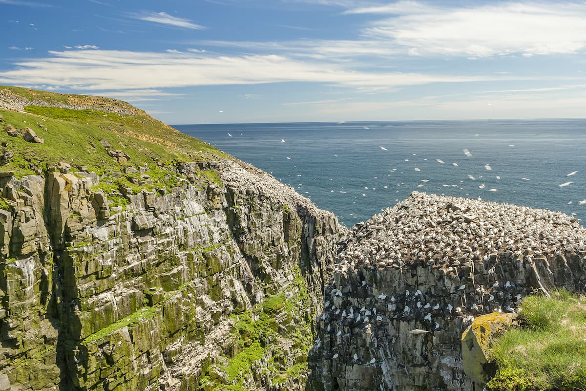 Long Range Mountains. Southwestern Newfoundland Ecoregion