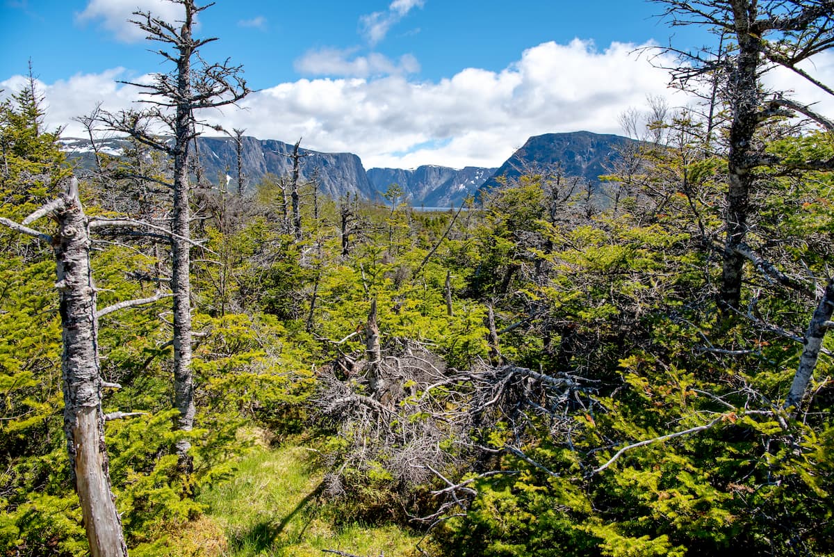 Long Range Mountains. Western Brook Pond in Newfoundland