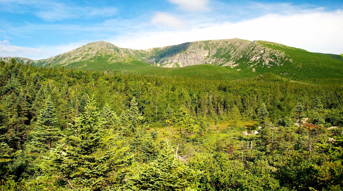 Longfellow Mountains forest