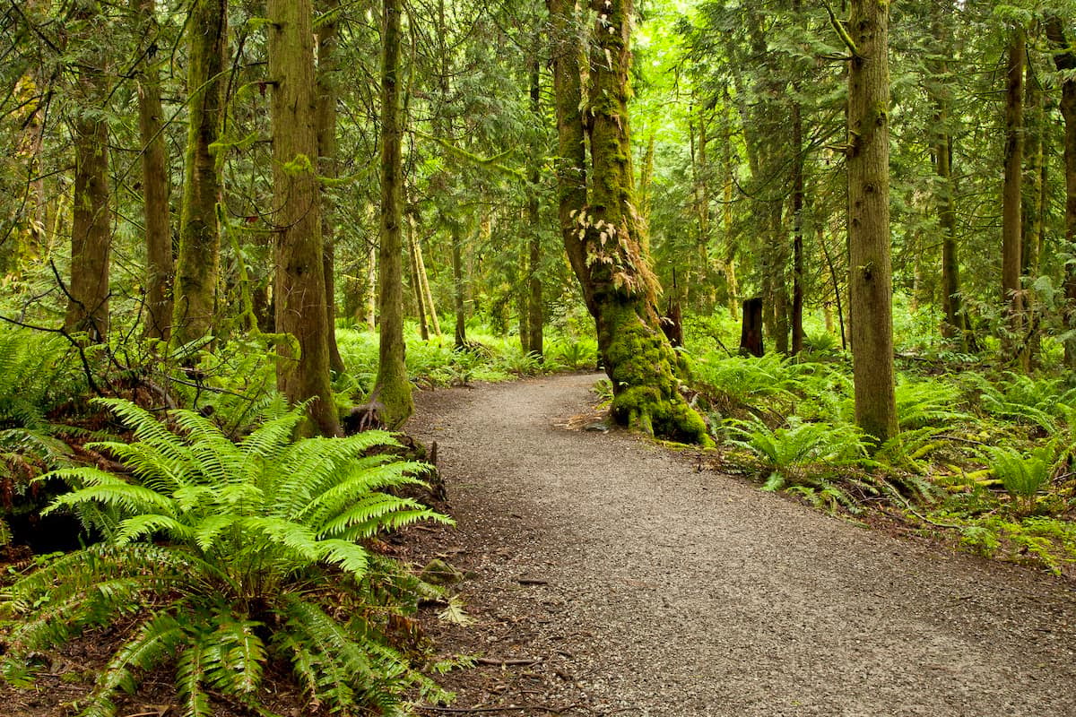 Lookout Mountain Forest Preserve