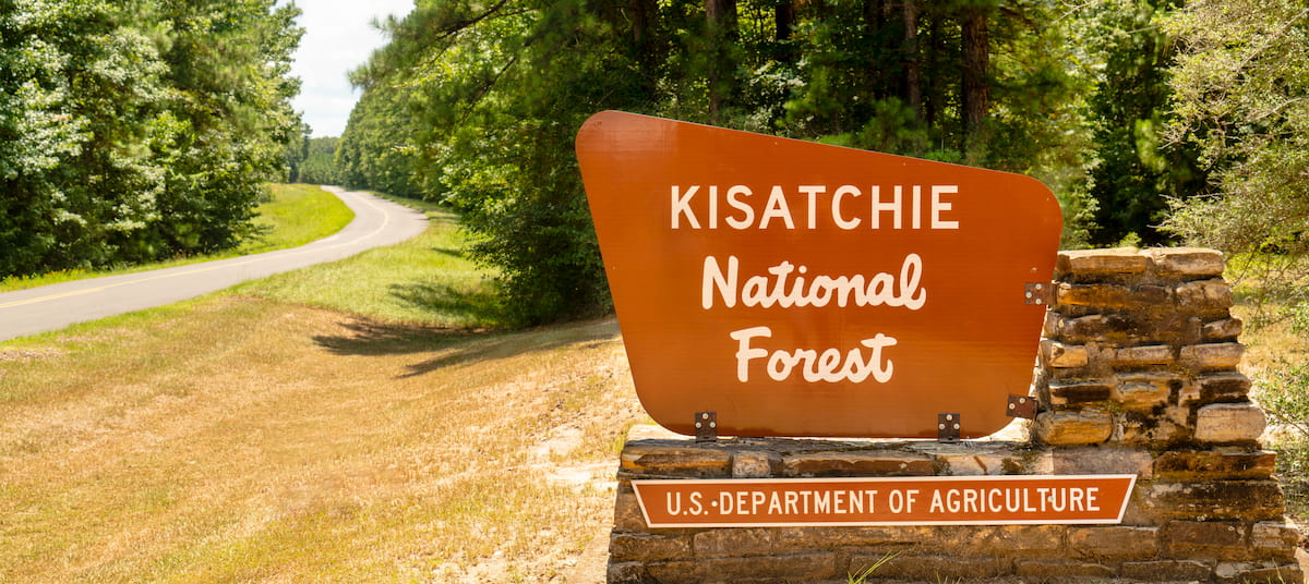 Kisatchie National Forest, Louisiana