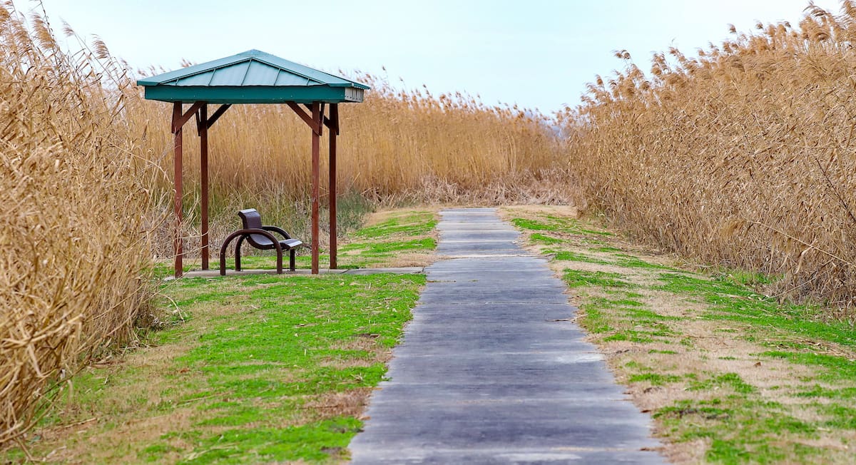 Southwest Louisiana National Wildlife Refuge Complex, Louisiana
