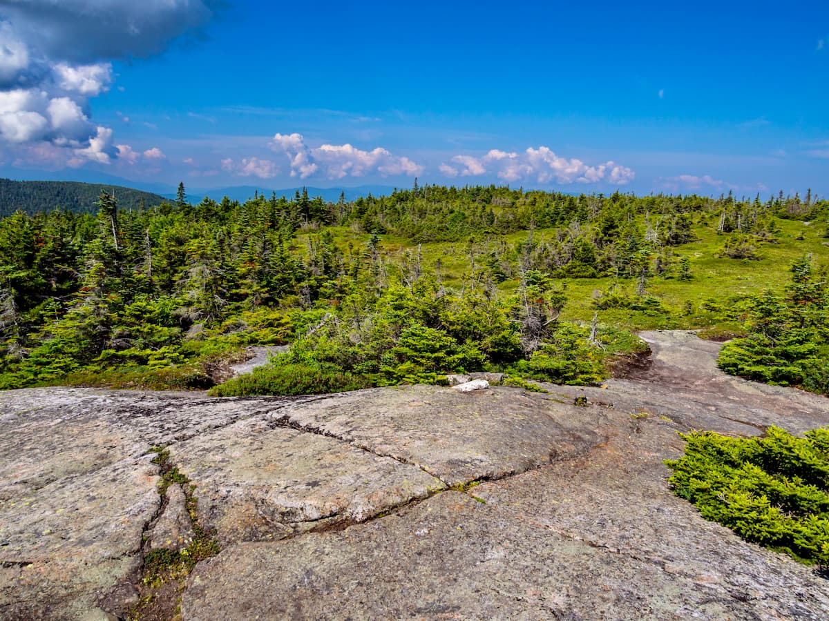 Mountain view overlook forest. Mahoosuc Range