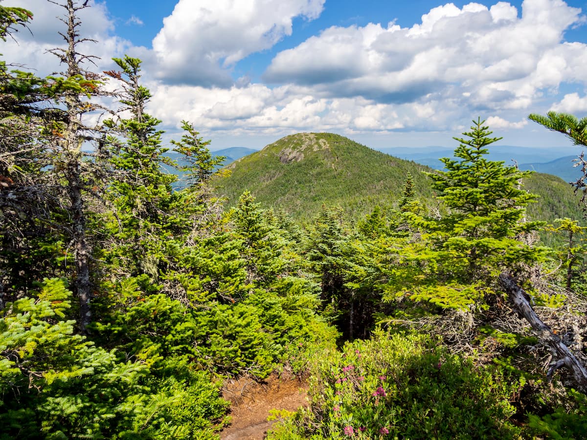 Mountain view overlook forest. Mahoosuc Range