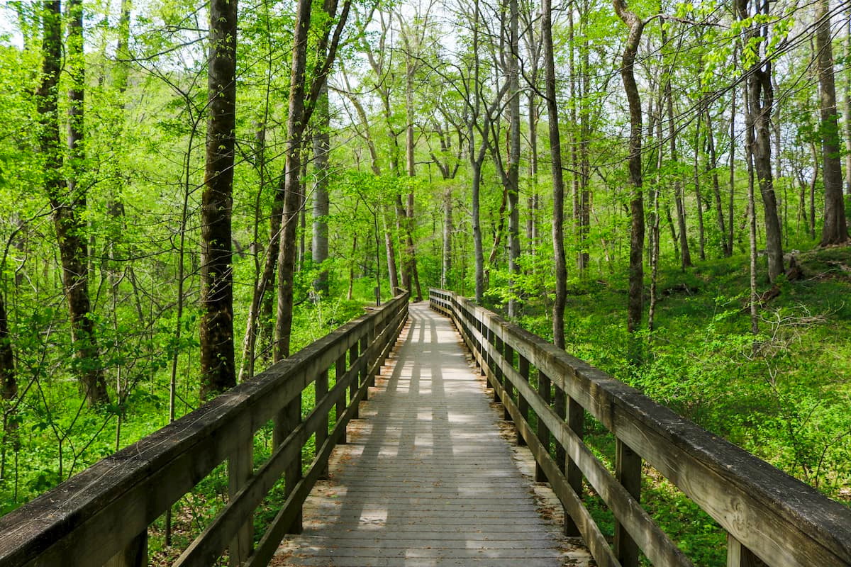 Mammoth Cave National Park