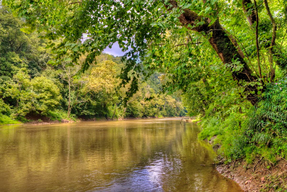 Mammoth Cave National Park
