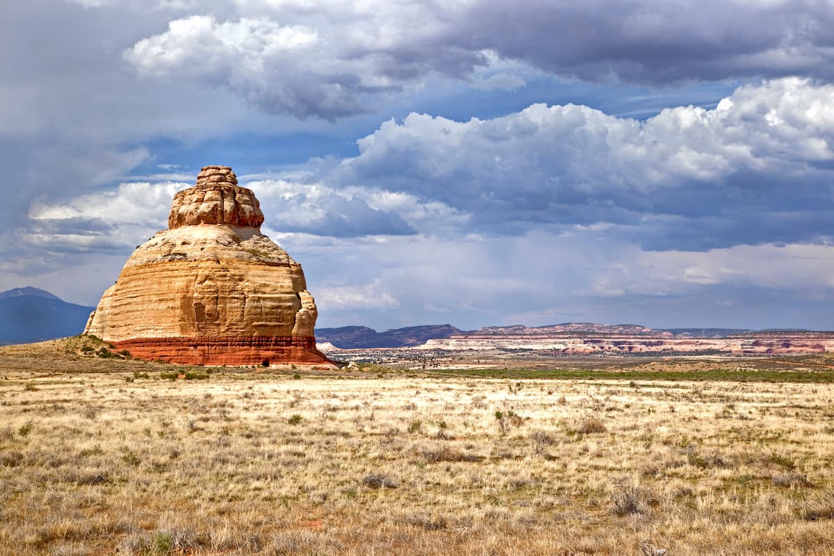 Manti-la Sal National Forest