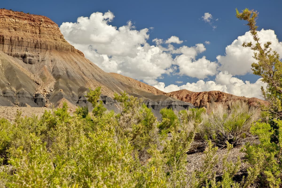 Ferron & Price Ranger Districts. Manti-La Sal National Forest