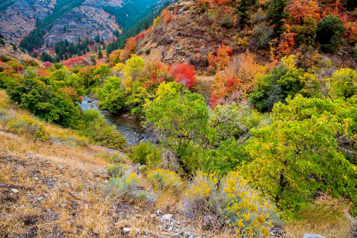Maple Canyon, Manti-La Sal National Forest