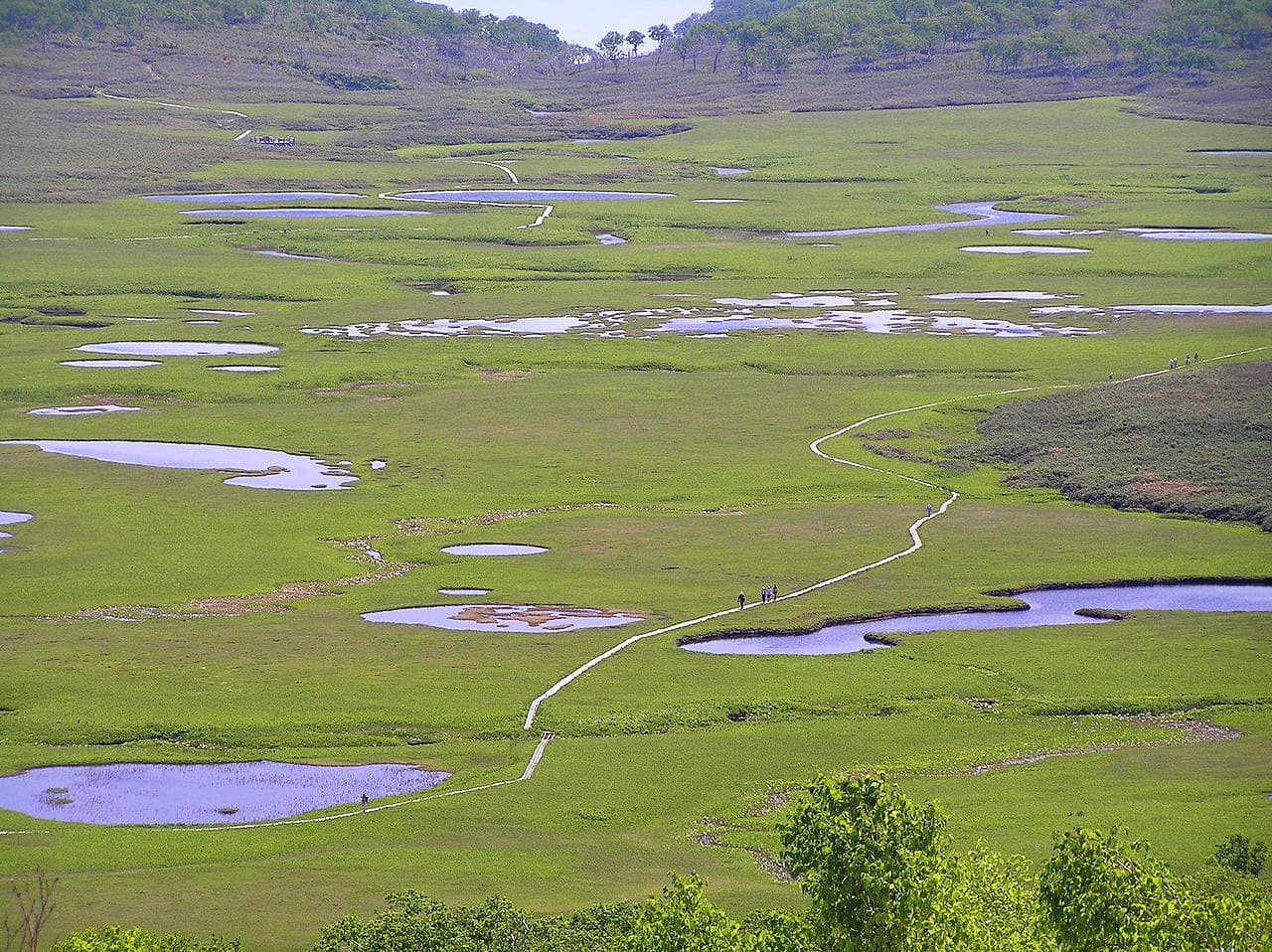 Uryunuma-Shitsugen Wetlands. Mashike Mountains. Japan